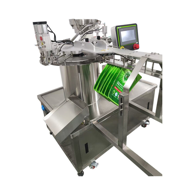 Double-head Suction Nozzle Bag Filling and Capping Machine Filling Hand Sanitizer, Body Wash and Other Bag Packaging