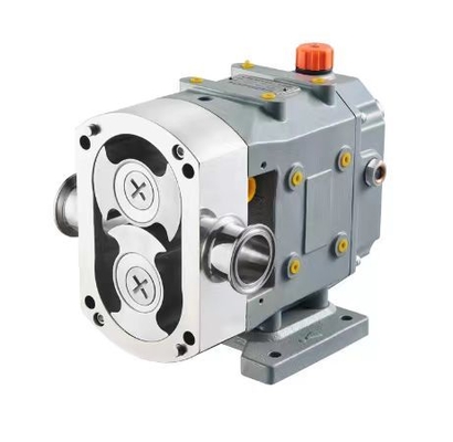 Manufacturers Produce and Sell Food Cleanser Asphalt CAM Rotor Pump Pump Head Paste Liquid Stainless Steel Pump Head